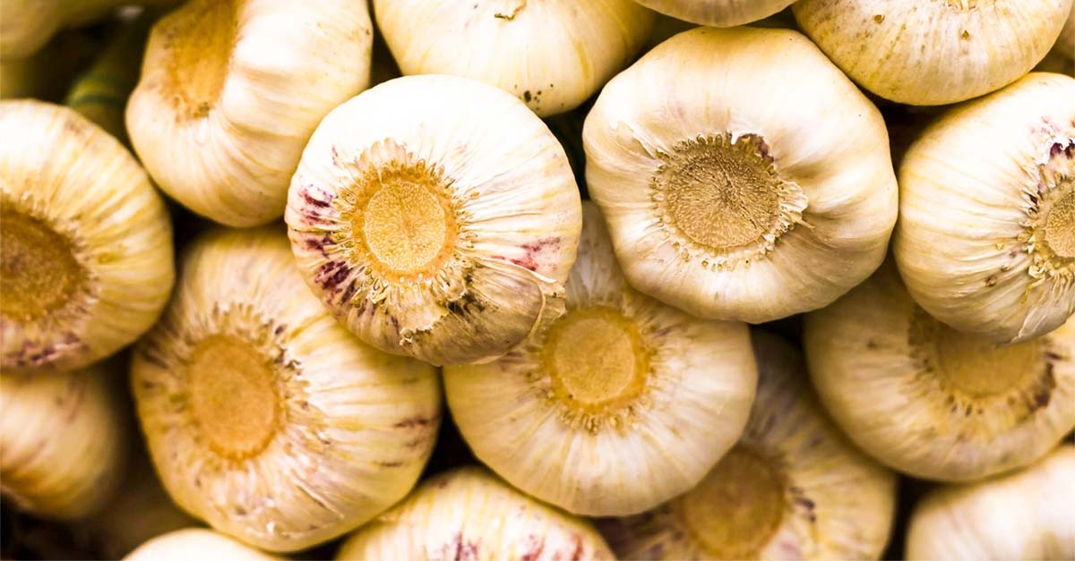 Como tirar o cheiro de Alho das mãos